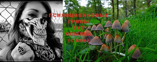 мяу мяу мука Богданович