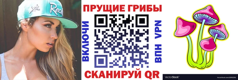 Галлюциногенные грибы ЛСД  даркнет сайт  Бородино 