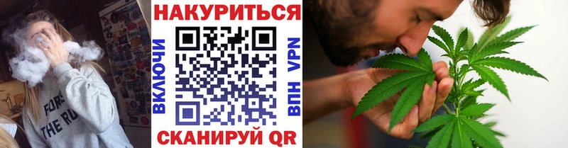 Канабис гибрид  Бородино 